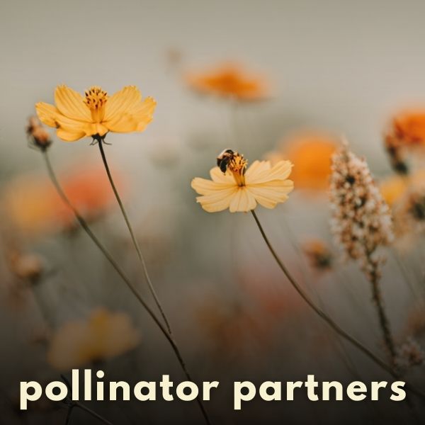 Pollinator Partners Garden Collection | Inspired Garden Life