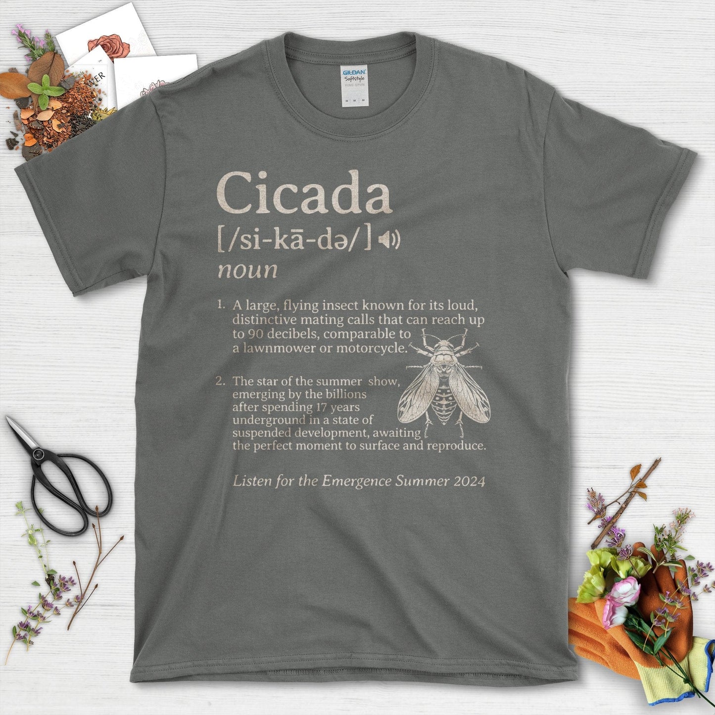 Cicada Insect with Definition Quote and Artwork T-Shirt Charcoal / S T-Shirt