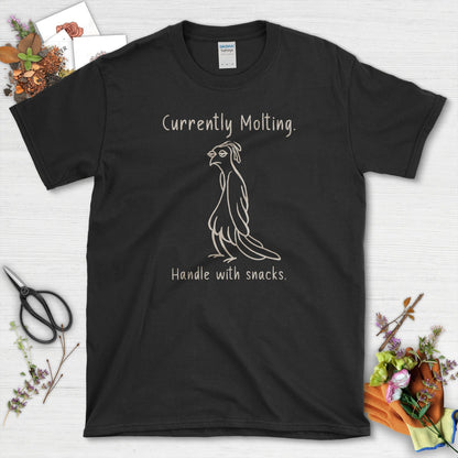 Currently Molting T-Shirt Black / S T-Shirt