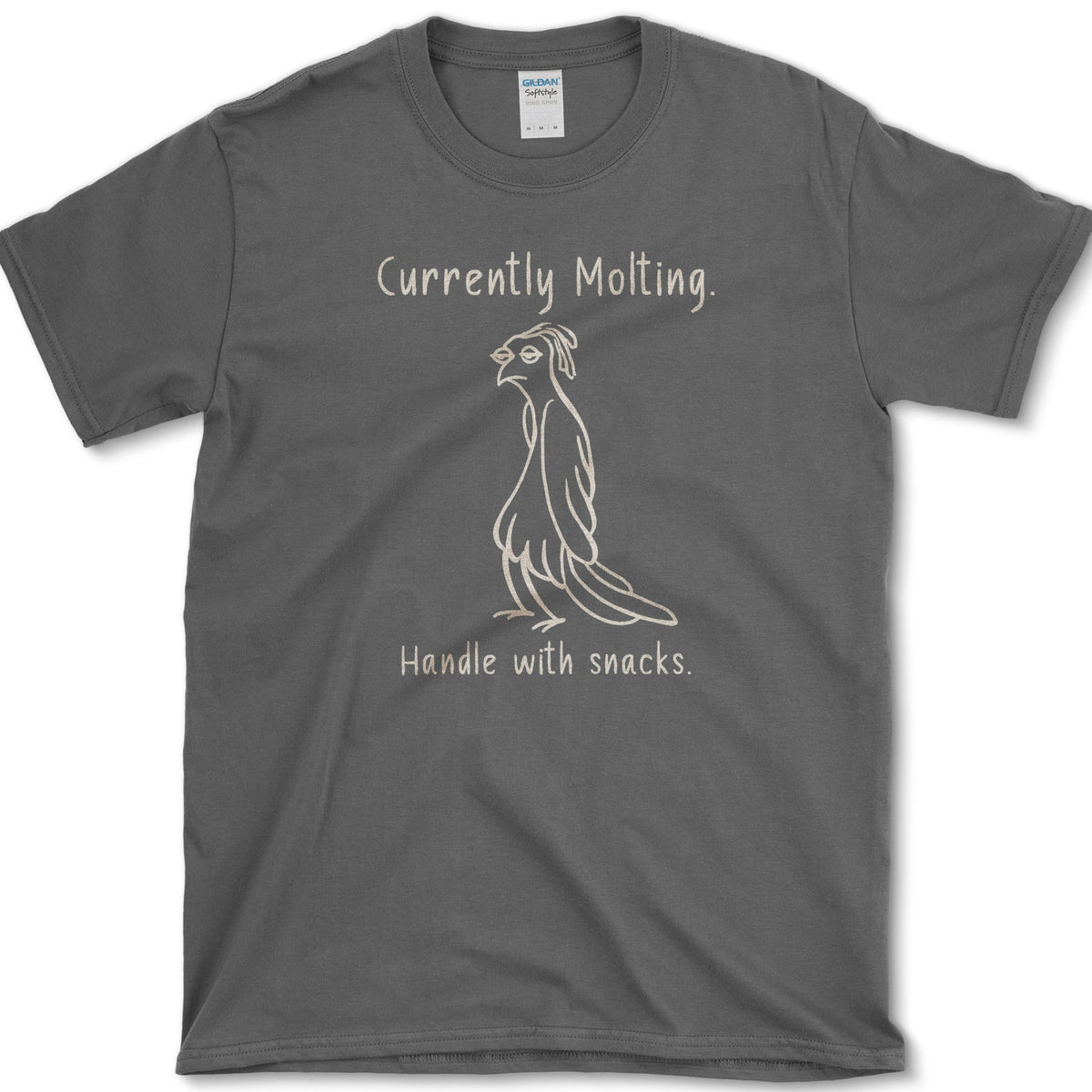 Currently Molting T-Shirt Dark Heather / S Essential Tees