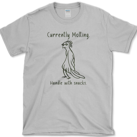 Currently Molting T-Shirt Sport Grey / S Essential Tees