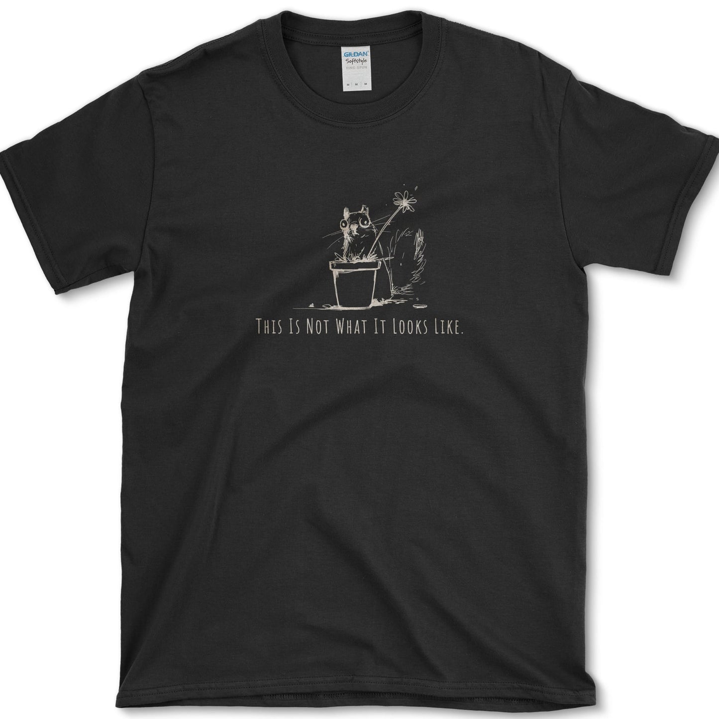 Not What It Looks Like T-Shirt Black / S Essential Tees