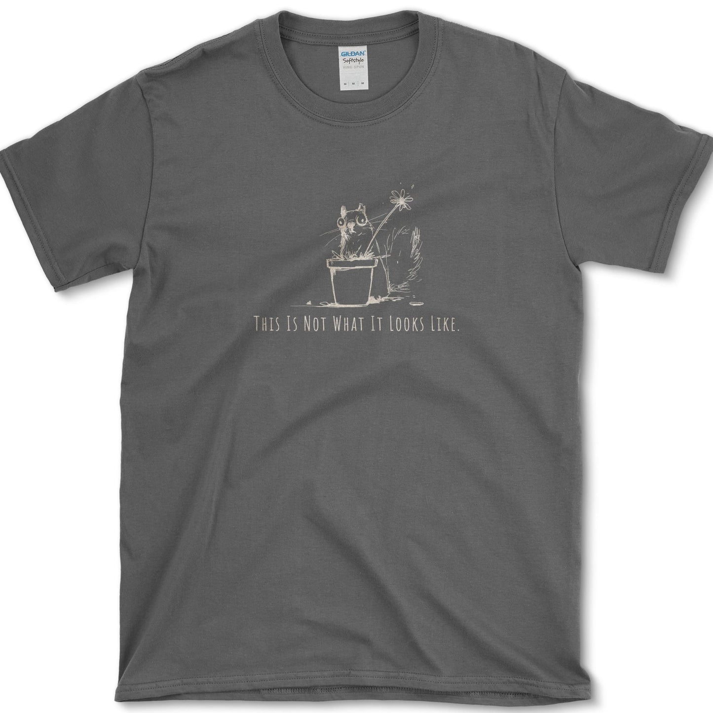 Not What It Looks Like T-Shirt Dark Heather / S Essential Tees